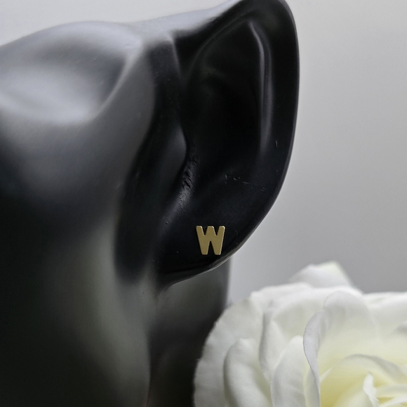 DAINTY INITIAL GOLDEN STERLING SILVER STUDS - Picture 11 of 13